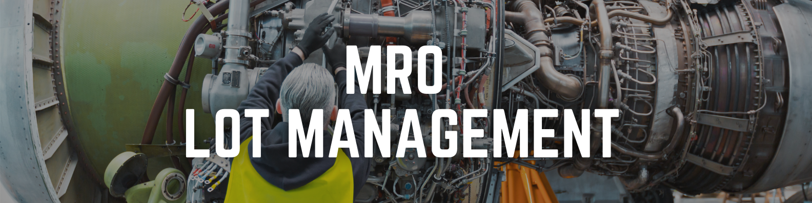 MRO Lot Management